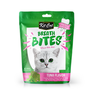 KIT KAT BREATH CAT