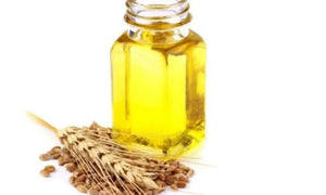 WHEATGERM OIL 100ml