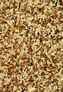MIXED CANARY