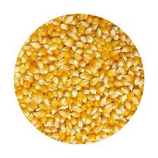 POPCORN MIELIE