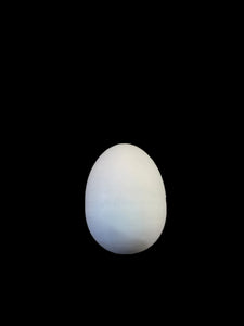 PIGEON EGGS