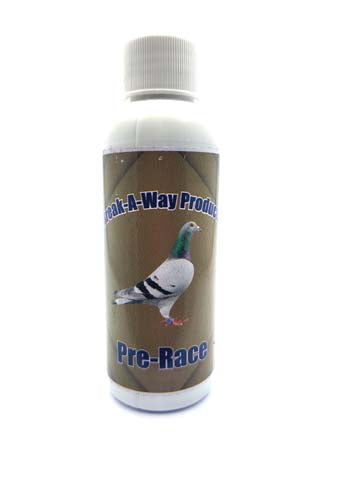 BA PRE-RACE