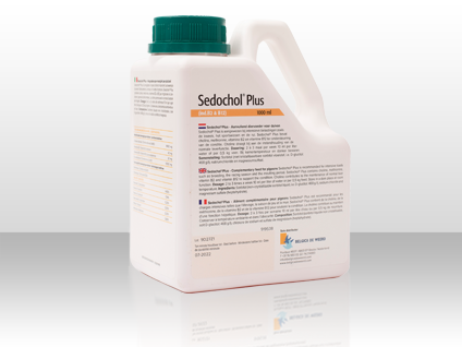BDW SEDOCHOL PLUS 1000ml
