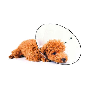 M-PETS BASTION PROTECTIVE COLLAR