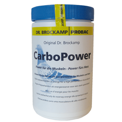 CarboPower