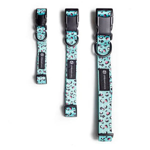 URBAN PAWS BOLT COLLAR