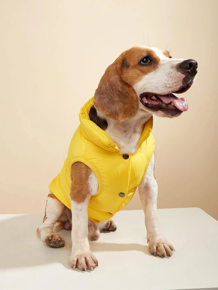 YELLOW BOMBER JACKET XXXL