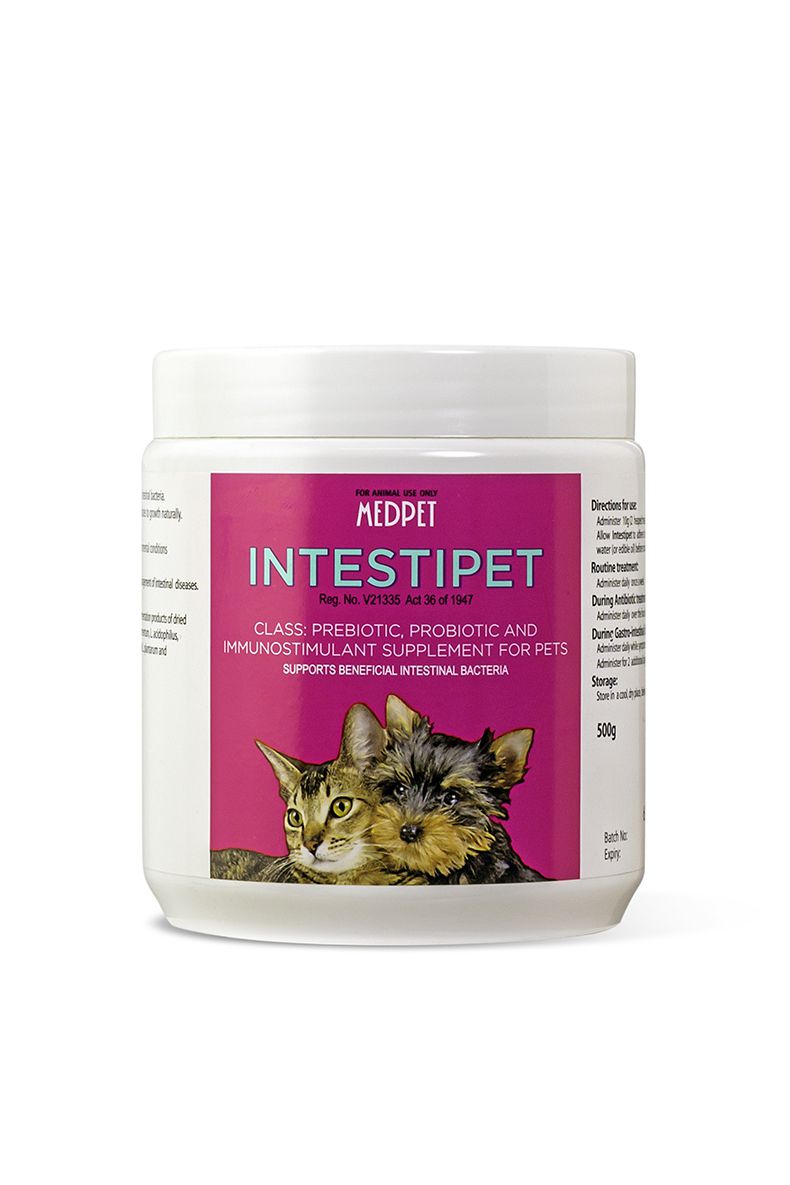 MEDPET INTESTIPET