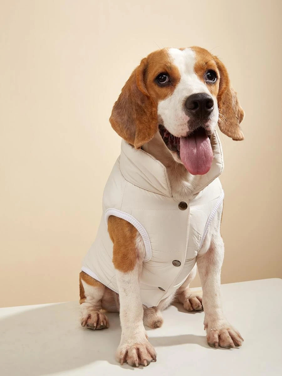CREAM BOMBER JACKET DOG