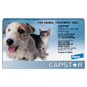 CAPSTAR 0.5KG - 11KG CAT/DOGS BLUE