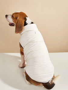 CREAM BOMBER JACKET DOG