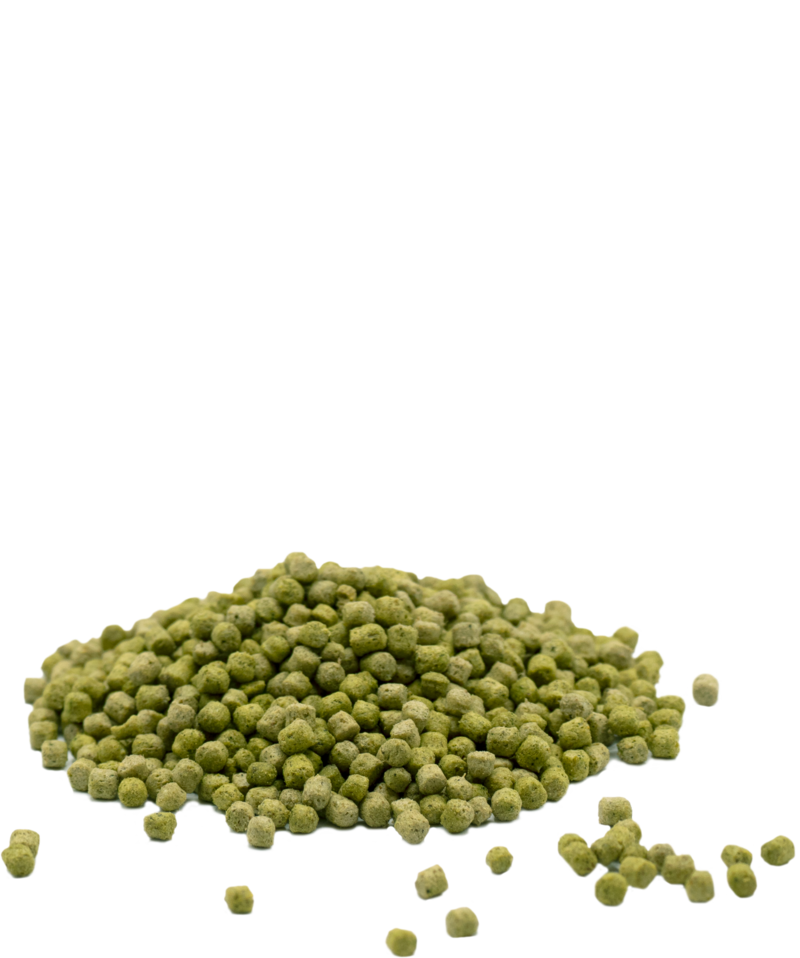 VL ENERGY CORN