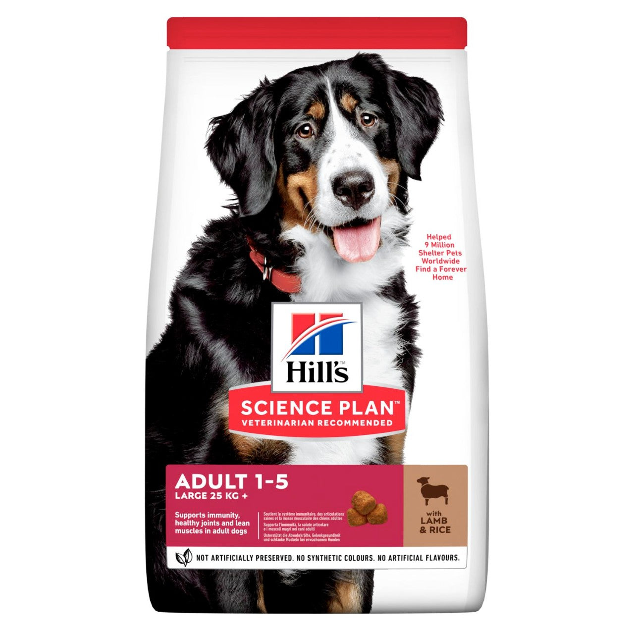 Hill's Science Plan Adult Large Breed Dry Dog Food Lamb & Rice Flavour